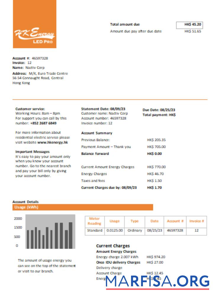 Realistic Hong Kong Energy Ltd utility business bill, SCR sample